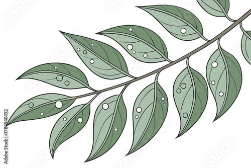 Green Leafy Branch with Water Droplets Keywords: plant, branch, leaves, green, nature, botanical