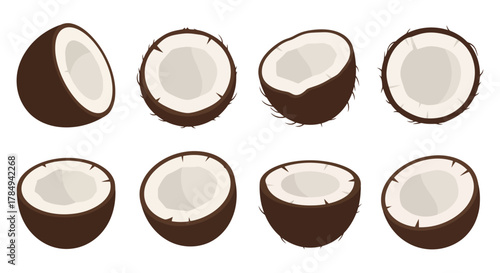 eight coconuts halves arranged neatly in two rows