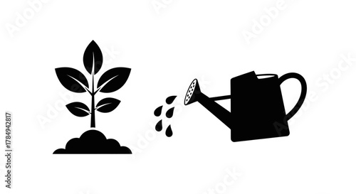 a small plant growing beside a watering can with water droplets