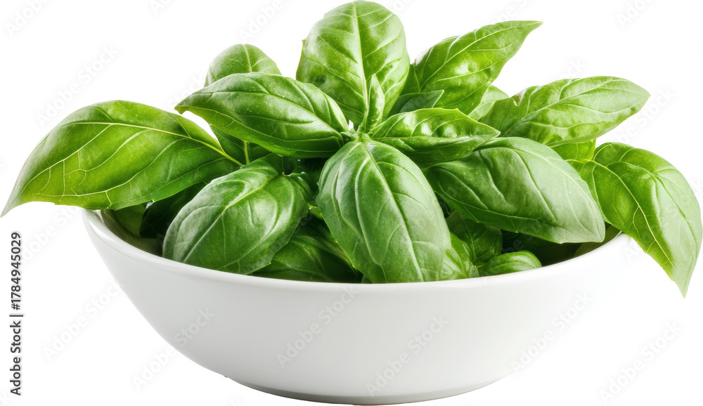 Fototapeta premium basil leaves in bowl 