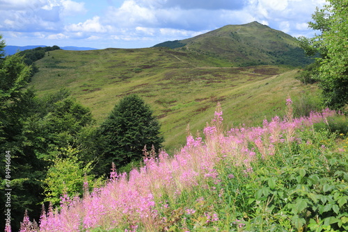 Fototapeta Naklejka Na Ścianę i Meble -  Bieszczady Mountains in Poland, Polonina Wetlinska, Beskidy