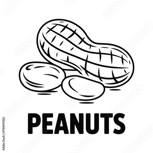 Simple black and white line drawing of peanuts with the word peanuts