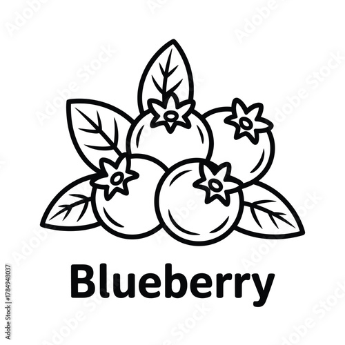 Simple line art illustration of fresh blueberries with leaves and text