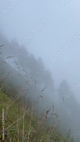 4k vertical video footage of A Beautiful landscape of Mount Andong peak with thick fog and breeze wind blowing - Magelang, Central Java, Indonesia.