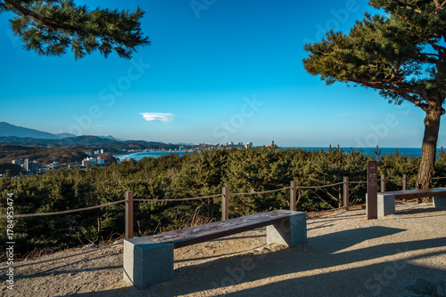 Pine-Framed Overlook Benches at Naksansa Temple, South Korea
