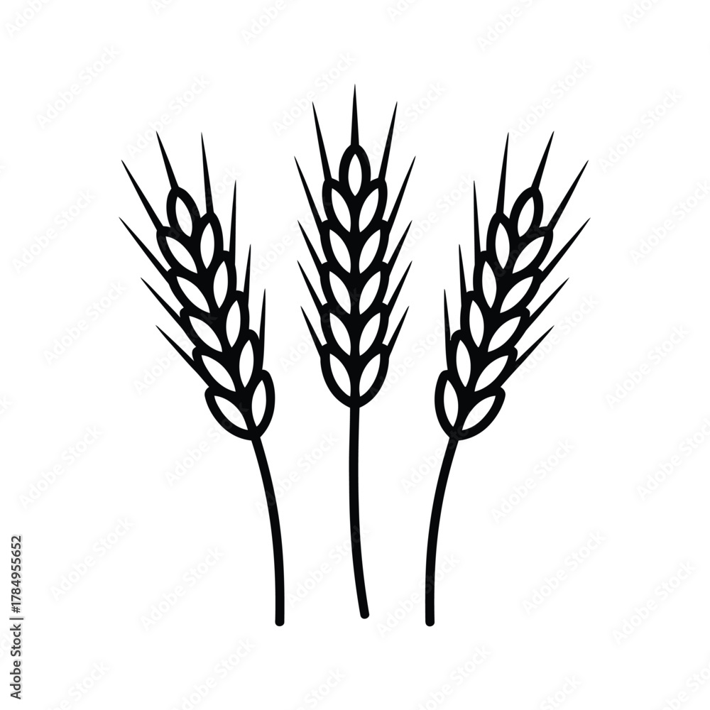 Fototapeta premium Stylized black and white illustration of three wheat stalks on a white background