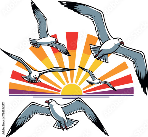 Isolated need kinds of seagulls flying at Sunset victor art on white background.