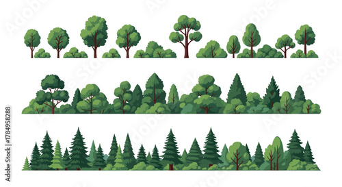 A stylized illustration of a variety of trees and lush green bushes in a line.