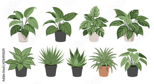 A collection of beautiful pixel art houseplants in various pots and arrangements.