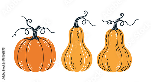 A trio of decorative pumpkins with curly stems and whimsical illustrations, perfect for autumn and Halloween themes.