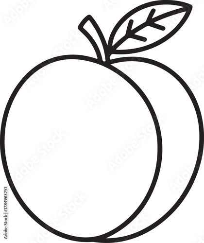 plums Line Art Drawing Vector Illustration for Coloring Book Page