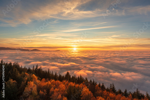 Breathtaking Sunset Over a Vast Sea of Clouds with Autumn Trees in the Foreground, Capturing the Golden Hour Light Above the Black Forest Inversion Layer.