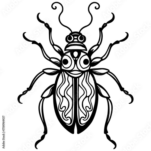 colorado potato beetle