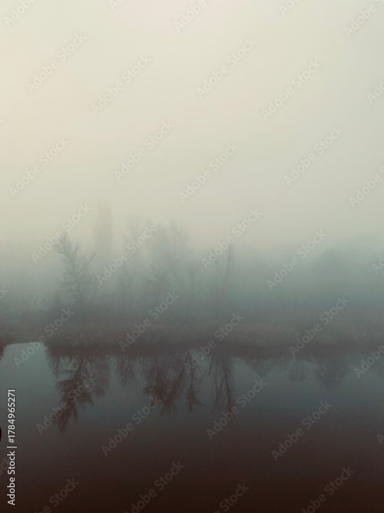 Fototapeta premium misty morning on the river