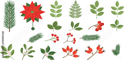 Festive Greenery Christmas Foliage Illustrations