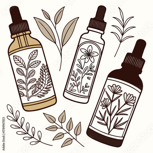 Botanical illustration of essential oil dropper bottles with plant motifs