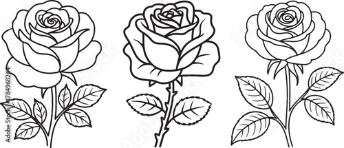 set of rose flower Line Art Drawing Vector Illustration for Coloring Book Page