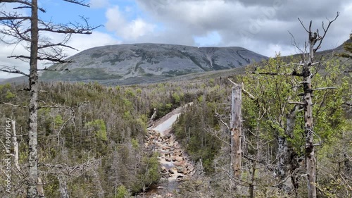 Waterfalls on the Crow Gulch Brook viewed from the Gros Morne Mountain hiking trail in the Gros Morne National Park (Norris Point, Newfoundland, Canada)