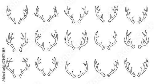 a collection of various deer antlers arranged neatly in rows