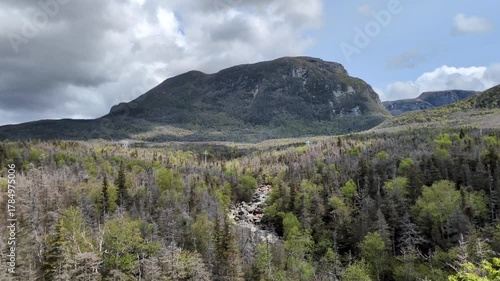 The Crow Gulch Brook on the Gros Morne Mountain hiking trail in the Gros Morne National Park (Norris Point, Newfoundland, Canada)