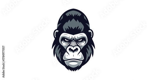 Intense gorilla face illustration, vector image representing strength and dominance animal