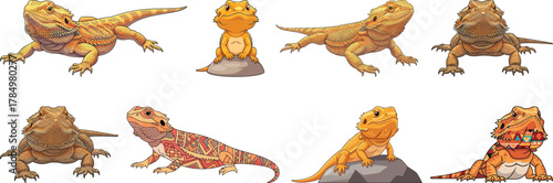 Bearded Dragon Vector Illustrations Set