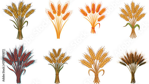 Set of Wheat and Cereal Grain Sheaves Illustrations Tied for Harvest, Agriculture, and Natural Food Design