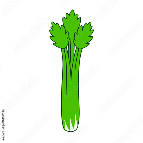 celery isolated on white background
