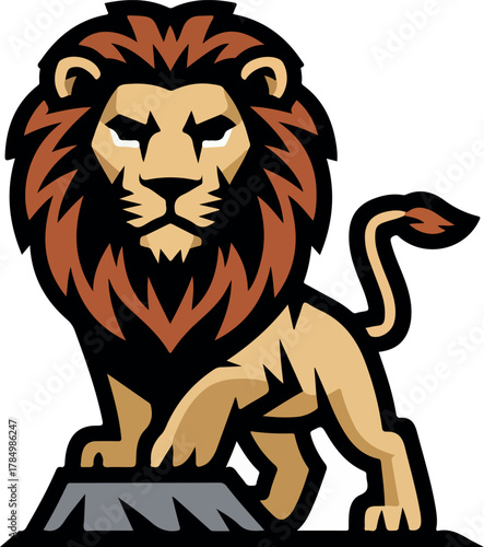 lion vector illustration
