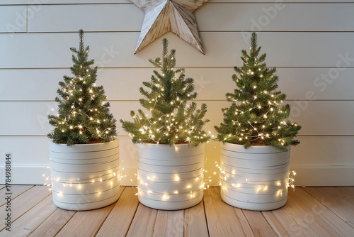 Wallpaper Mural Three decorative potted trees with lights arranged against a wooden wall Torontodigital.ca