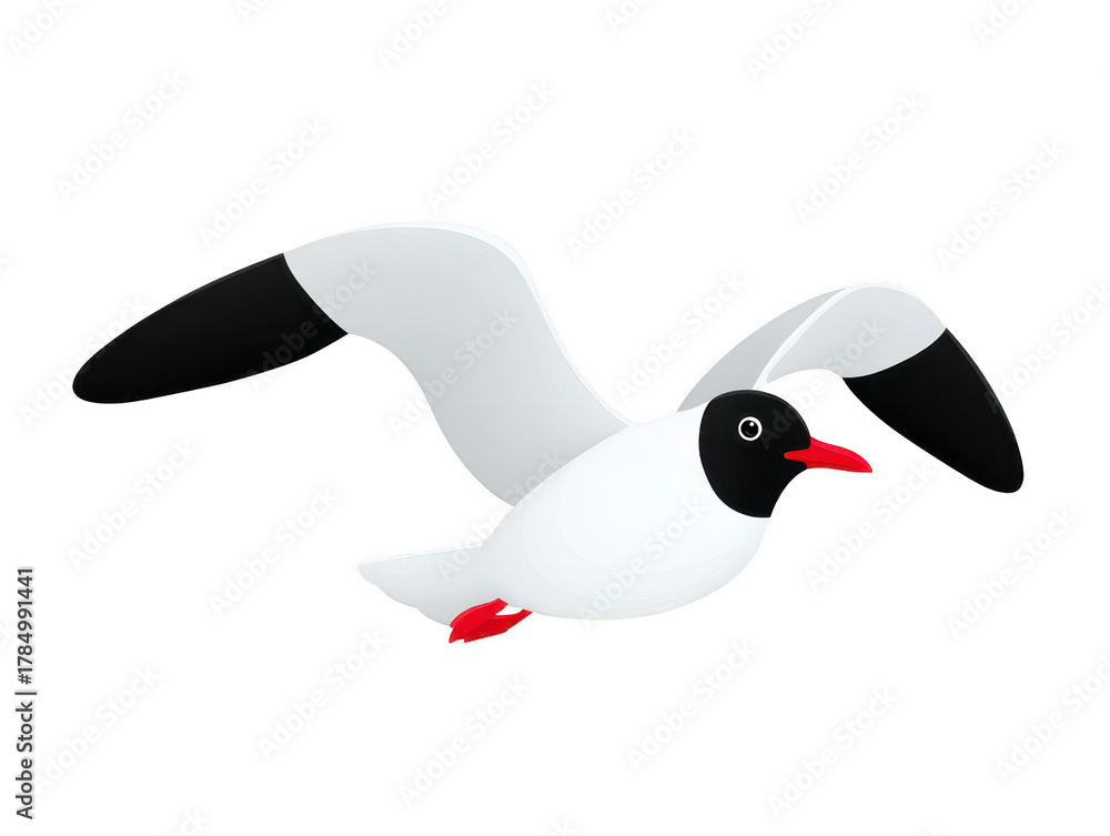Fototapeta premium Black headed gull flying bird white red beak red feet isolated animal wildlife illustration cartoon nature wing feather avian sea bird sky freedom migration summer cute drawing vector graphic beak