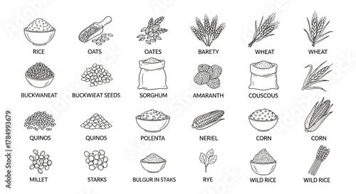 Assortment of handdrawn icons for various grains and seeds isolated on white background