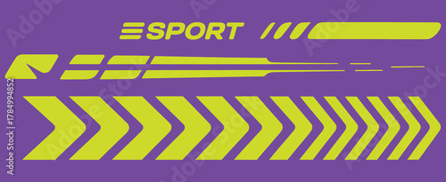 sport car stripes and decals. Perfect for racing car wraps, motorsport graphics, vehicle tuning, performance car designs, and automotive illustration projects