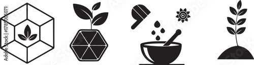 Herbal medicine and botanical silhouette icon set