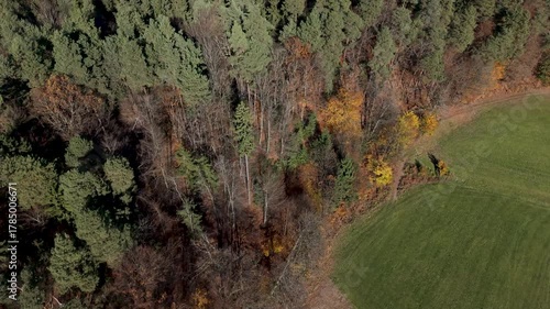 Aerial drone flyover of a colorful autumn forest. Vibrant fall foliage in shades of orange, yellow, and red captures the beauty of seasonal nature from above.