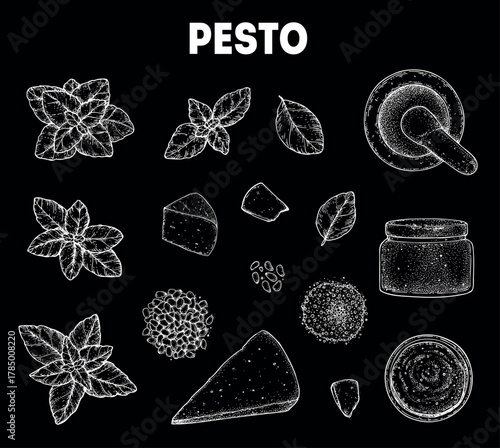 Pesto sauce ingredients vector illustration. Hand drawn sketch. Italian food. Basil, parmesan cheese, pine nuts, garlic, salt, arugula, mortar and pestle