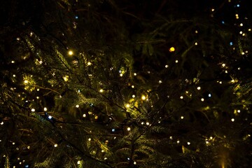 Ingelijste posters Meisjeskamer Twinkelende lichtjes op kerstboom 's nachts  © Tharusha