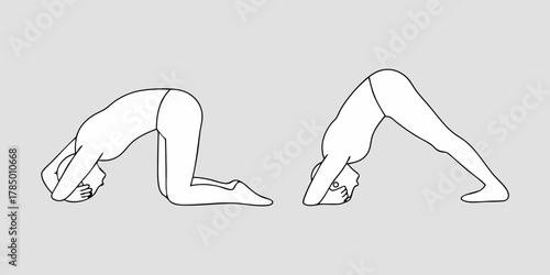 Line art illustration of two yoga poses child s pose and downward facing dog