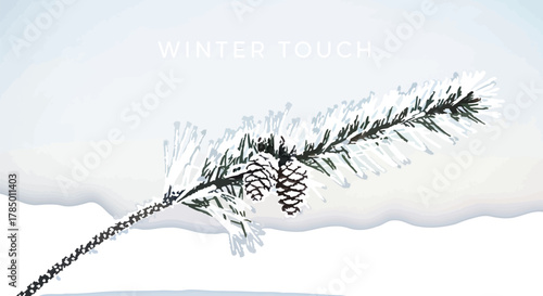 Pine branch with cones covered in frost against a soft winter background