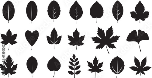 Collection of diverse black leaf silhouettes on a white background leaves autumn