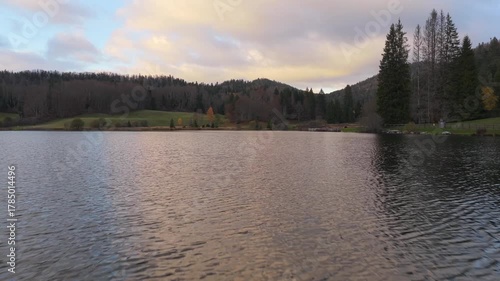 Lac genin
