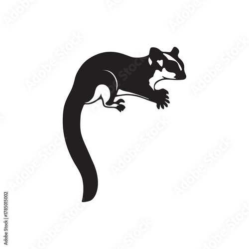Black silhouette of a squirrel on a white background