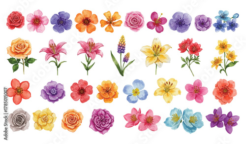 Captivating collection of hand-painted watercolor flowers showcasing nature's vibrant palette and delicate beauty, perfect for diverse creative projects and adding an artistic floral touch.