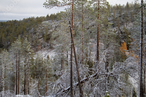 First snow has fallen in Kuusamo