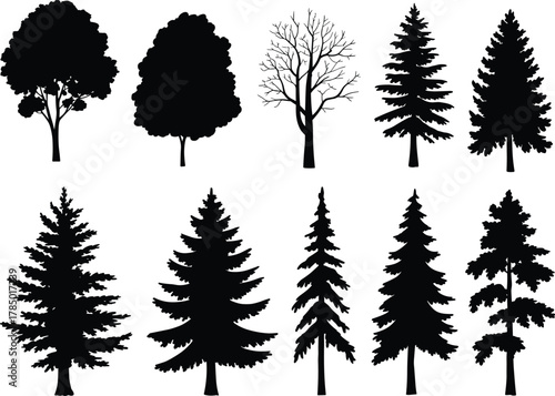 Tree silhouette illustration set, deciduous and coniferous forms, botanical comparison, black and white icons, forest design elements, nature shapes