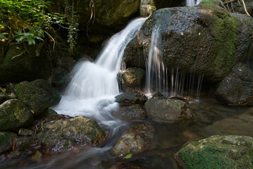Fototapete Krankenhaus Kleiner Wasserfall im stillen Wald  © Pasquale