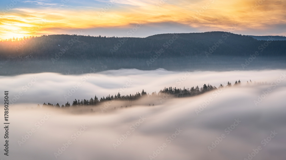 Fototapeta premium Long Exposure Fog Swirl Over Black Forest Sunrise