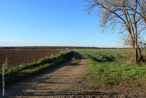 Le chemin