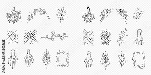 A collection of hand-drawn sketchy illustrations featuring various natural elements like roots and leaves, alongside abstract scribbles and organic shapes on a transparent background.