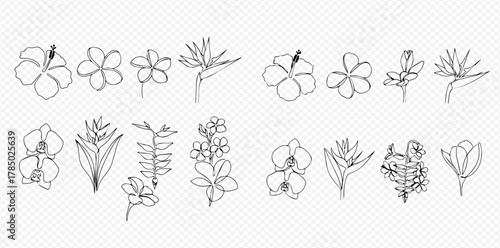 Minimalist line art illustrations of diverse tropical flowers and plants, perfect for design elements.
